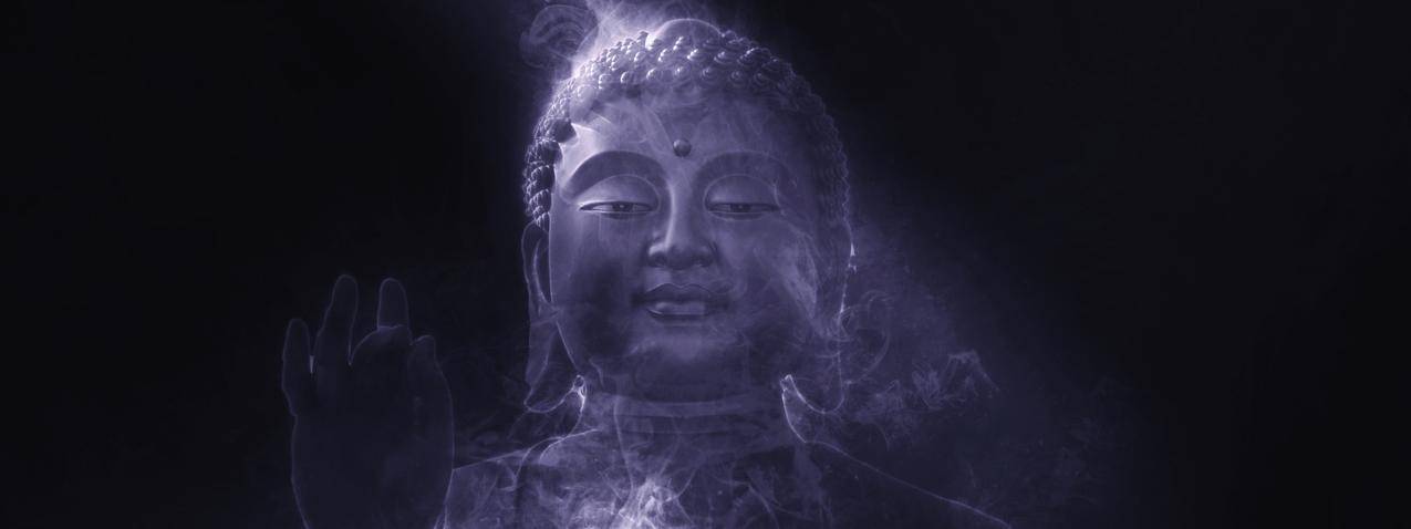 网红商城